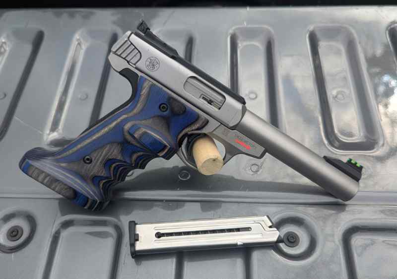 S&amp;W SW22 