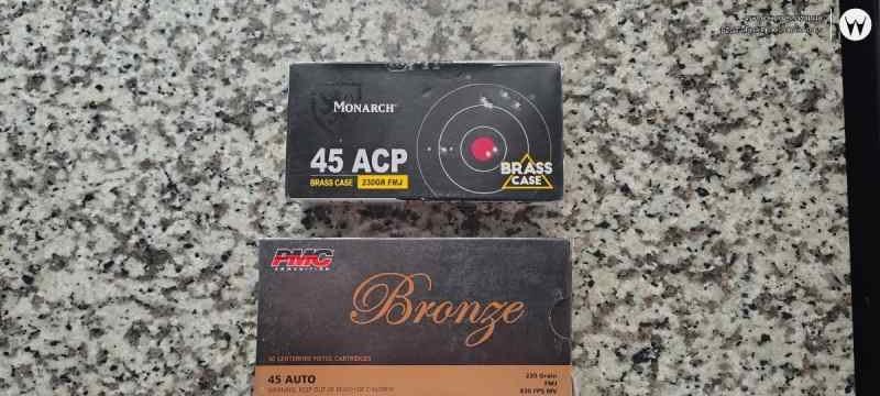 45 ACP ammunition 