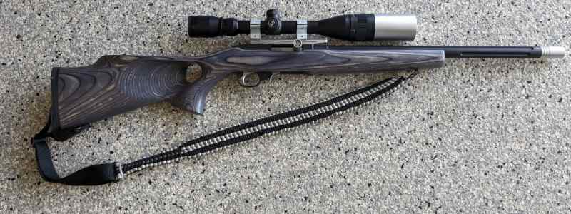 Custom Ruger 10/22 - Match Varmint Two-Tone