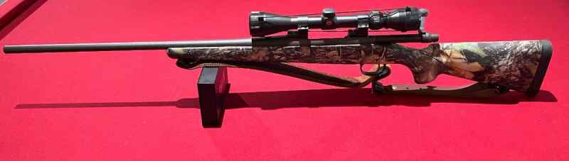 Remington 300 Model 700 30-06