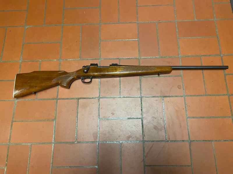 REMINGTON 700 ADL 243 Win 22&quot; Barrel