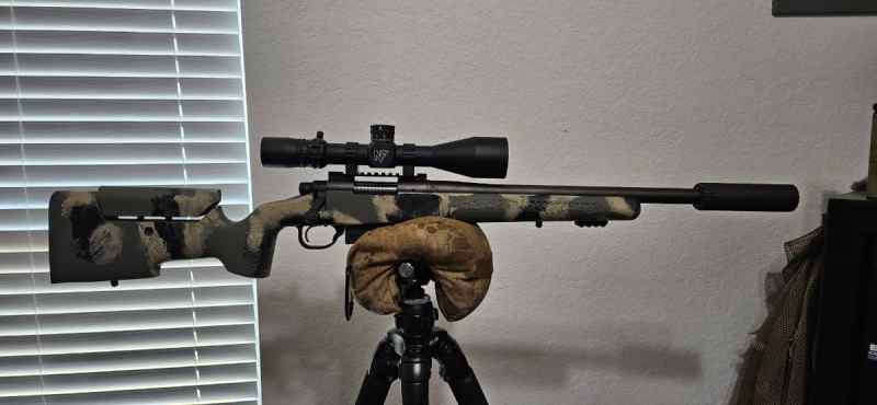 Remington 700 .308