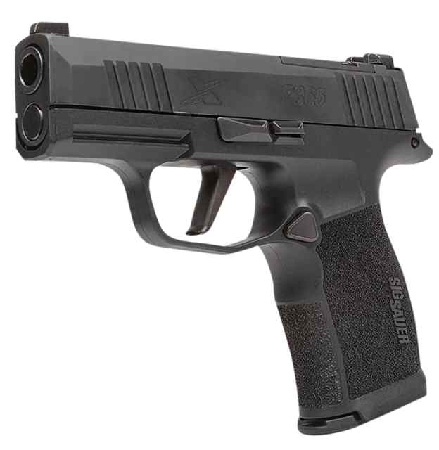 Sig Sauer P365 XL 12+1 MS - Check Link for Stock!