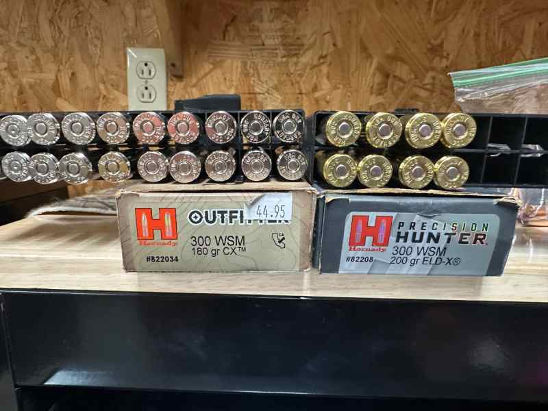 300 WSM Hornady Ammo FS/FT