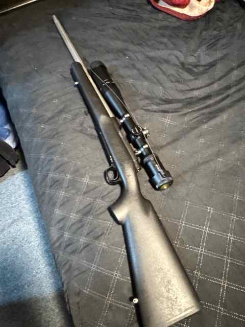 Winchester coyote .308