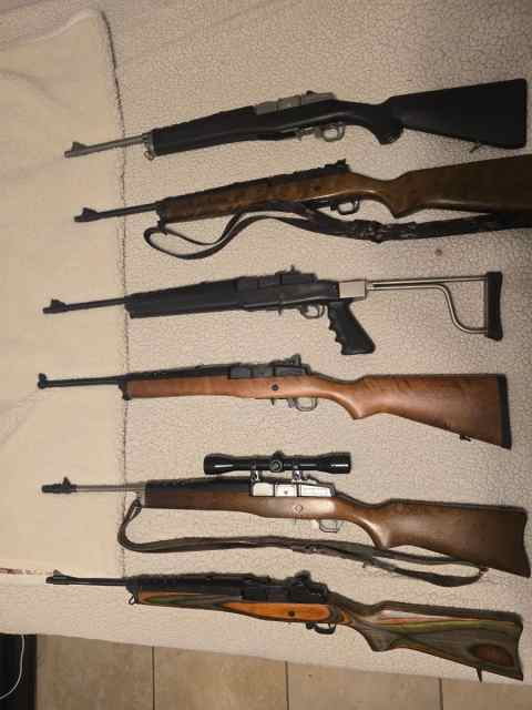 Ruger mini 14's n mini 30