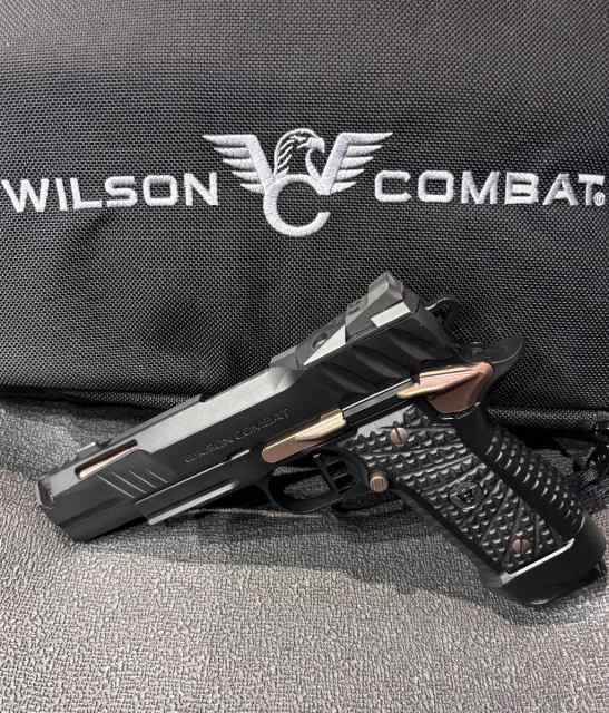 Wilson Combat Division 77 Project 1