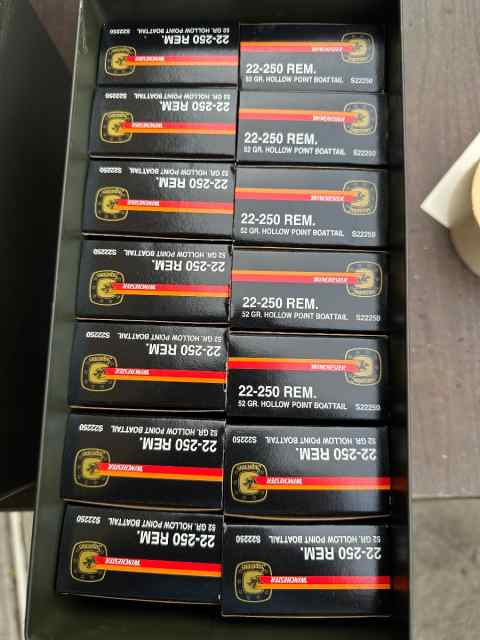 22-250 Federal 52 grain hollow point boat tail