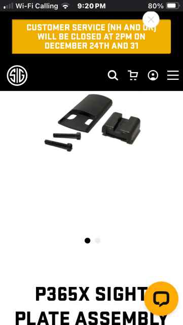 WTB- Rear Sight Plate for p365X/XL