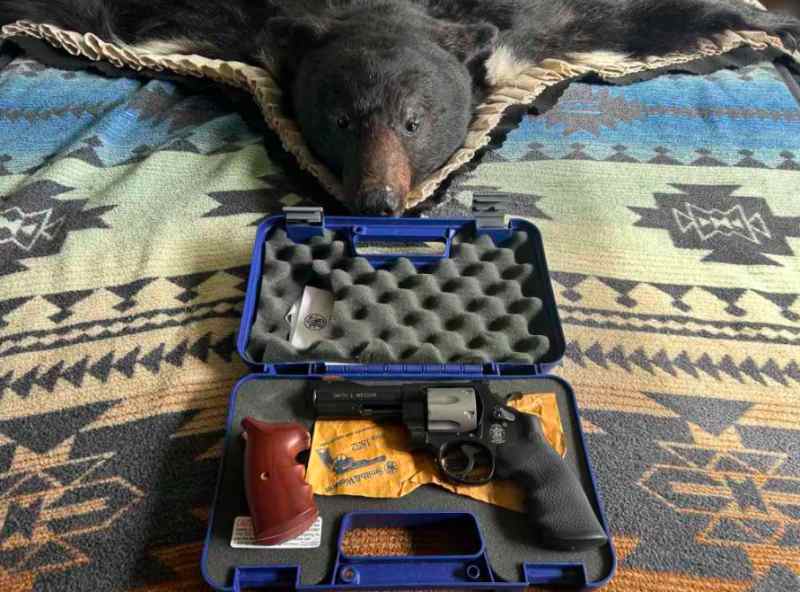 Super Rare Smith&amp;Wesson 357PD 41 Magnum Airlite